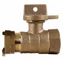 AY McDonald 5132-032 - 76102W-55 1 BALL CURB IP X FNPT - NL