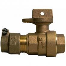 AY McDonald 5132-254 - 76102W-33 3/4X5/8X3/4 BALL CURB PEP X FNPT - NL