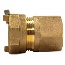 AY McDonald 5146-137 - 74755-55 3/4 ADAPTER IP X FEMALE FLARE-NL