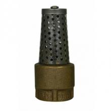 AY McDonald 5421-350 - 72116T 3/4 BRONZE FOOT VALVE FNPT-NL