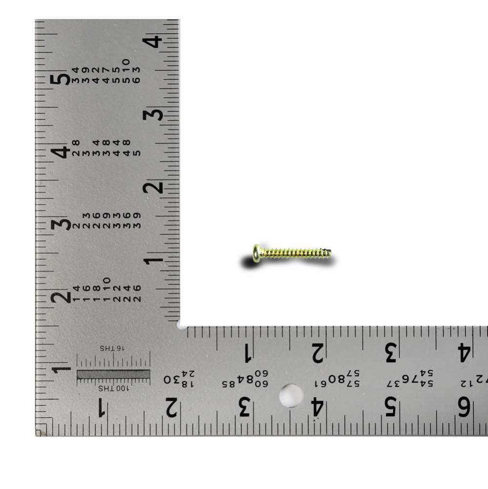 SCREW D4 X 25L (RHTS) MSWR