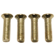 Pamex GTB590-GB - THRU BOLTS MALE (SET OF 4) GB