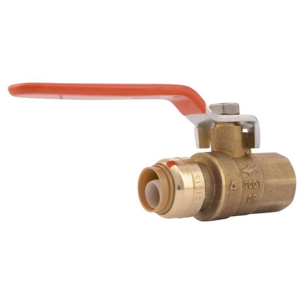 1/2 In. x 1/2 In. FNPT Ball Valve