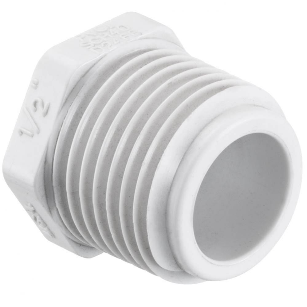 1/2 PVC TEST PLUG MPT SCH40