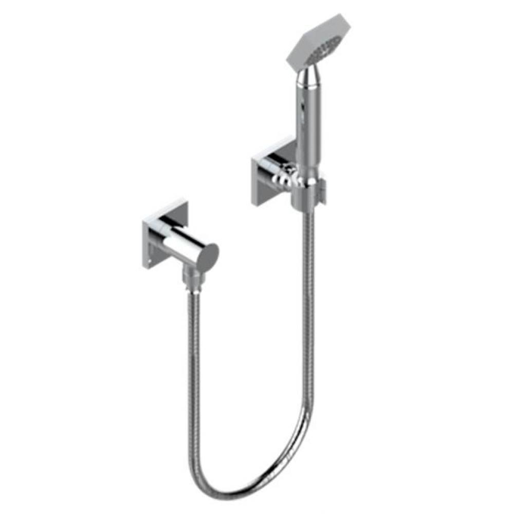 Wall Mounted Handshower With Separate Fixed Hook