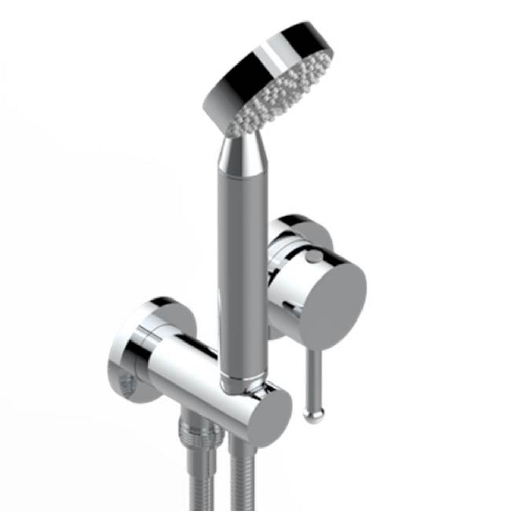 Trim Only For Wall Mixer With Complete Handshower On Hook