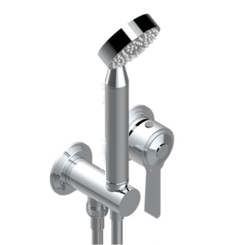 Trim Only For Wall Mixer With Complete Handshower On Hook