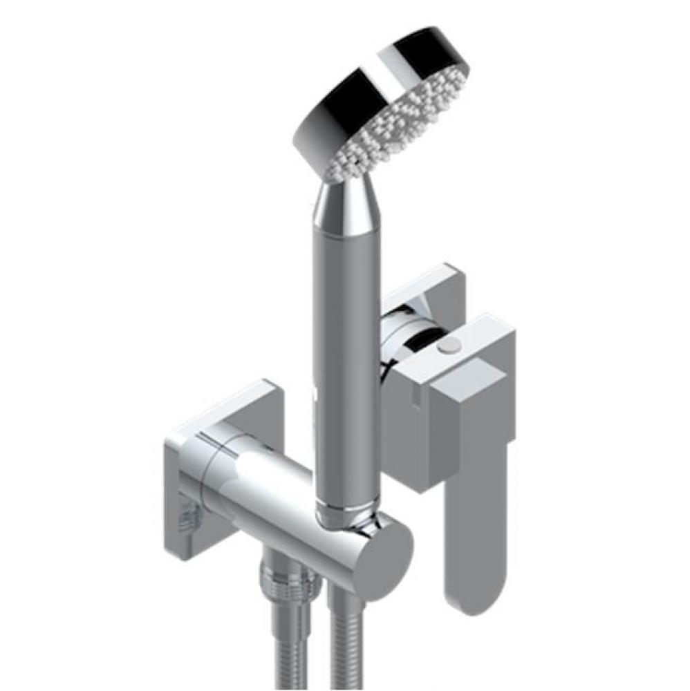 Trim Only For Wall Mixer With Complete Handshower On Hook