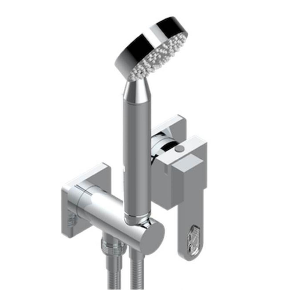 Trim Only For Wall Mixer With Complete Handshower On Hook