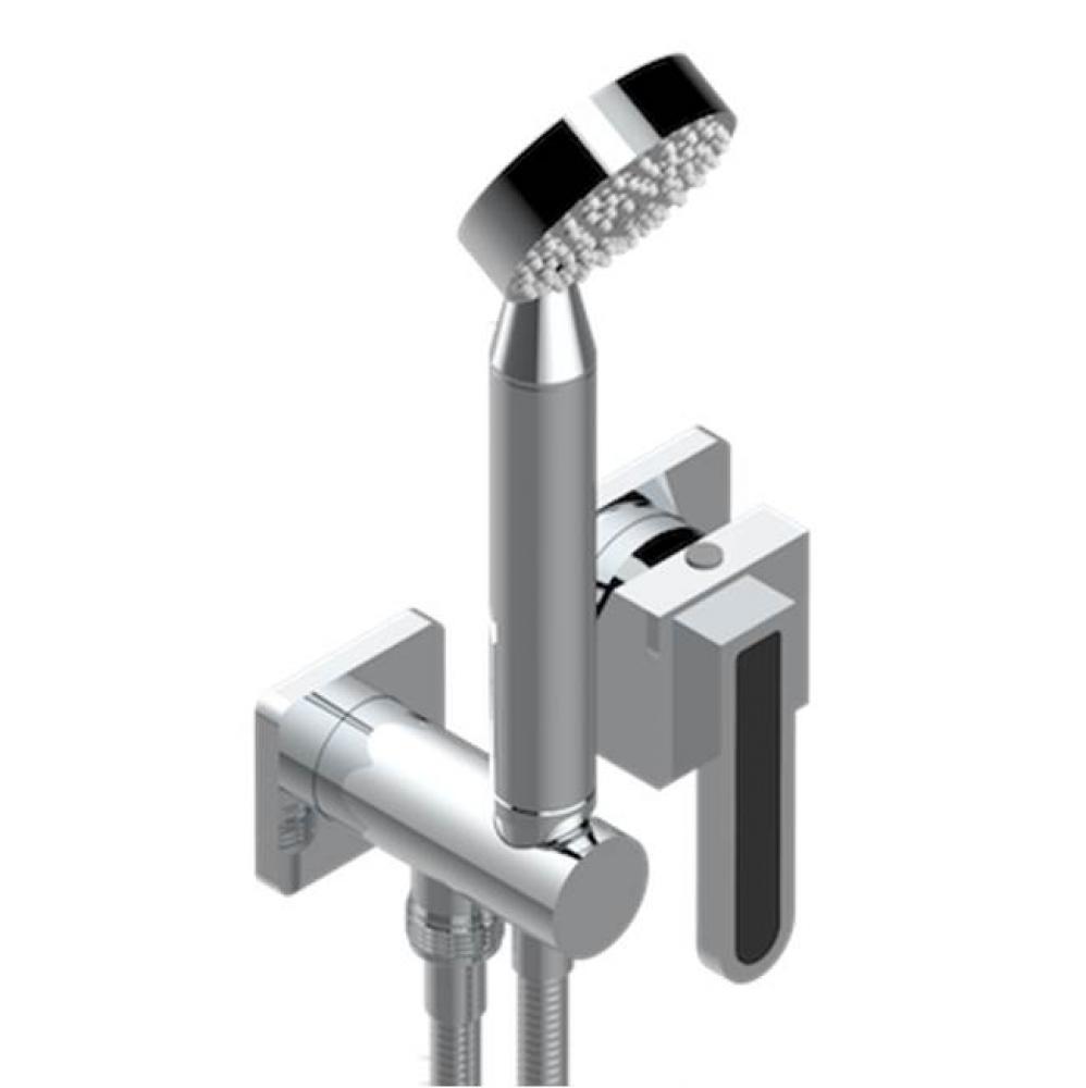 Trim Only For Wall Mixer With Complete Handshower On Hook