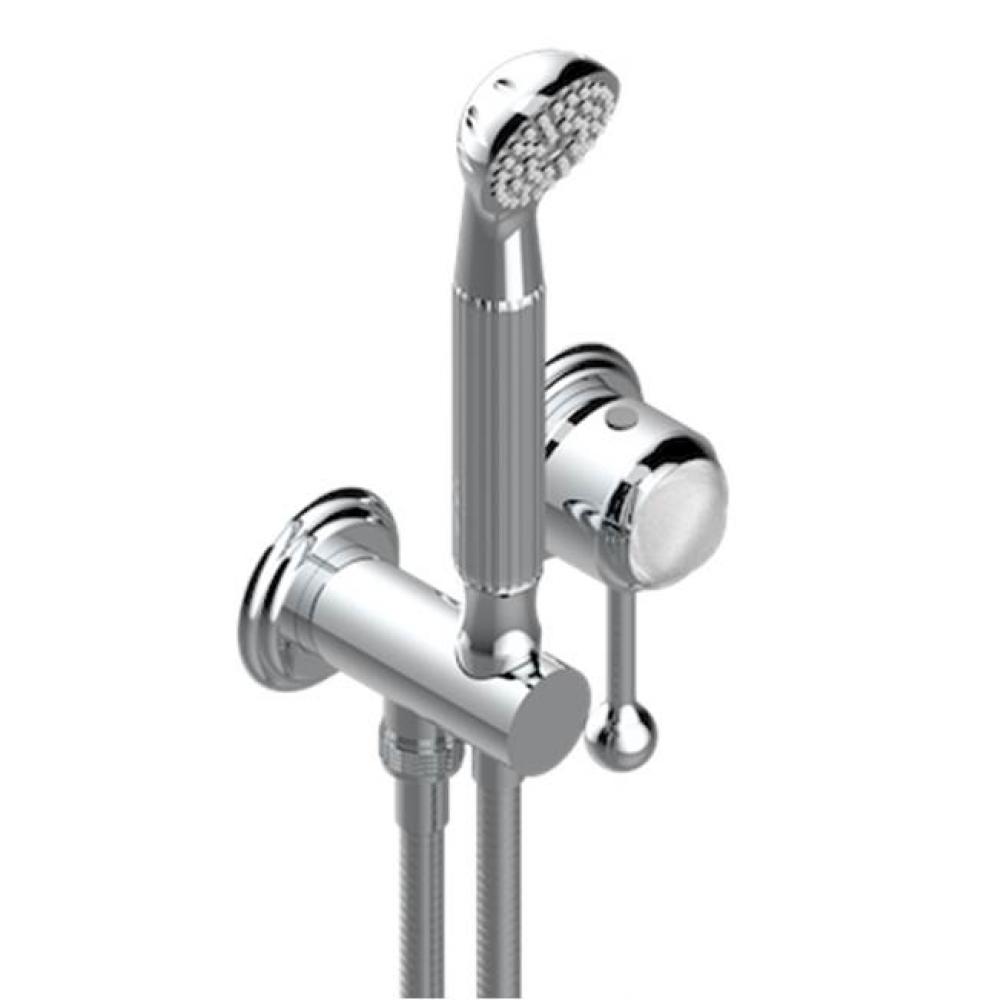 Trim Only For Wall Mixer With Complete Handshower On Hook