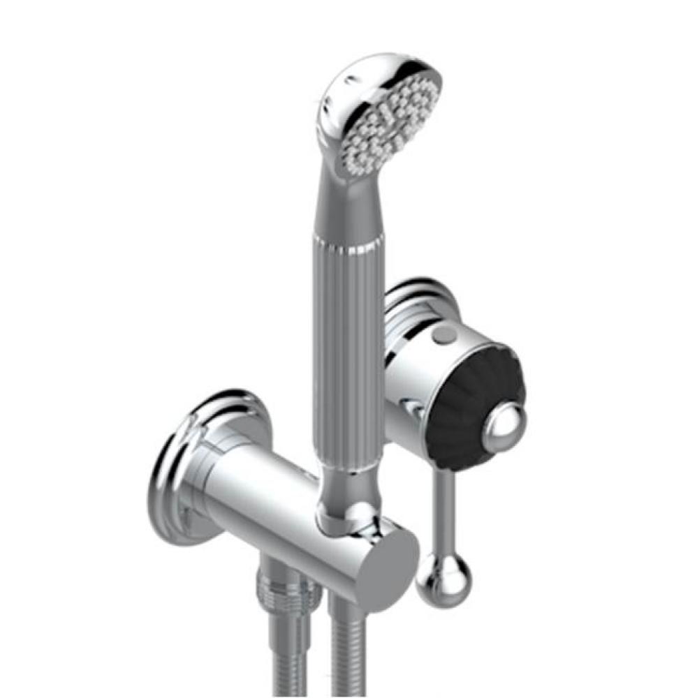 Trim Only For Wall Mixer With Complete Handshower On Hook