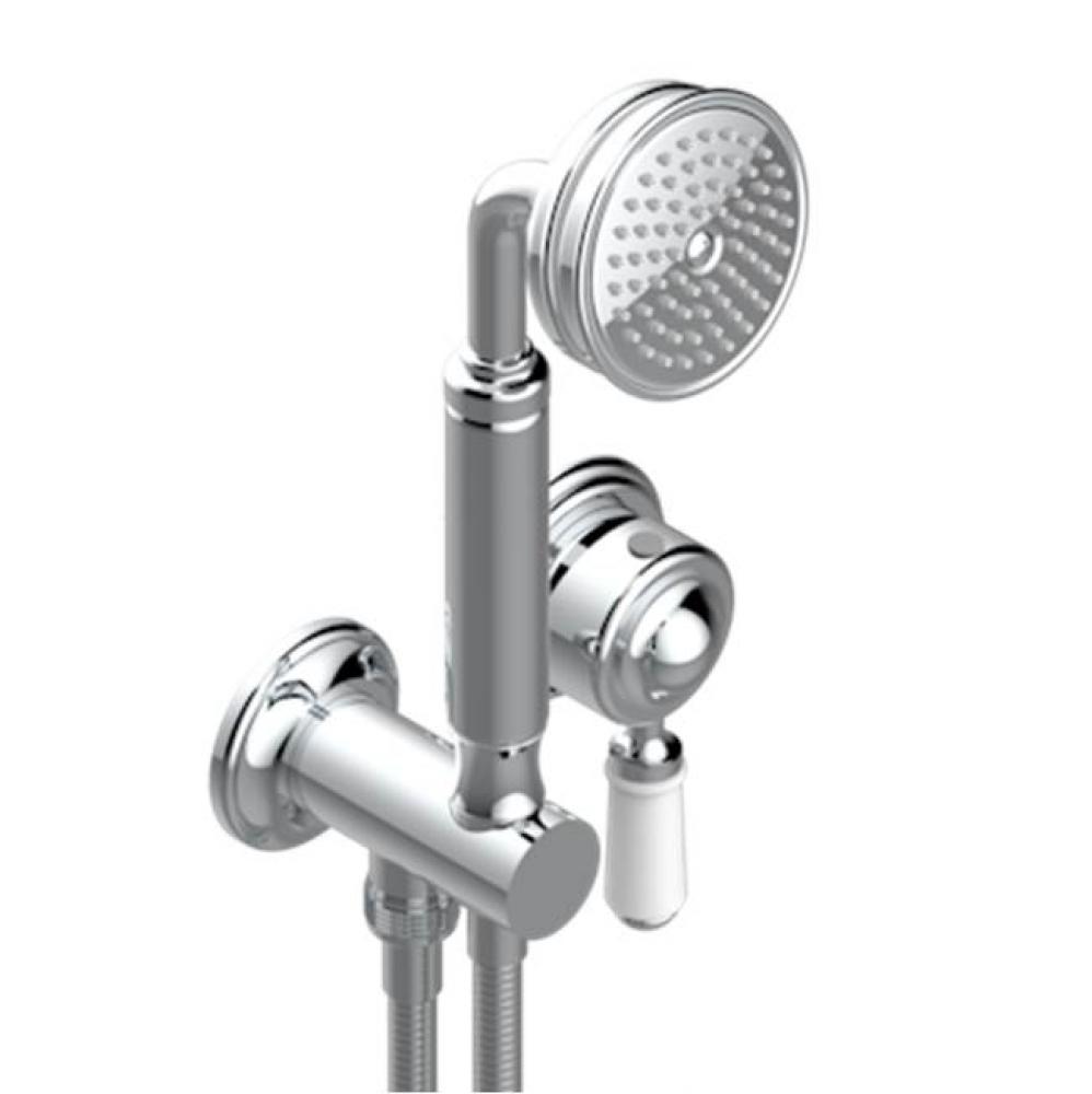 Trim Only For Wall Mixer With Complete Handshower On Hook