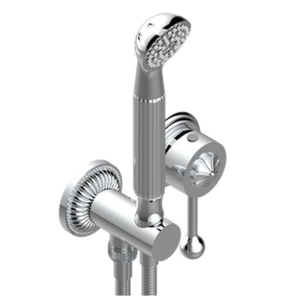 Trim Only For Wall Mixer With Complete Handshower On Hook