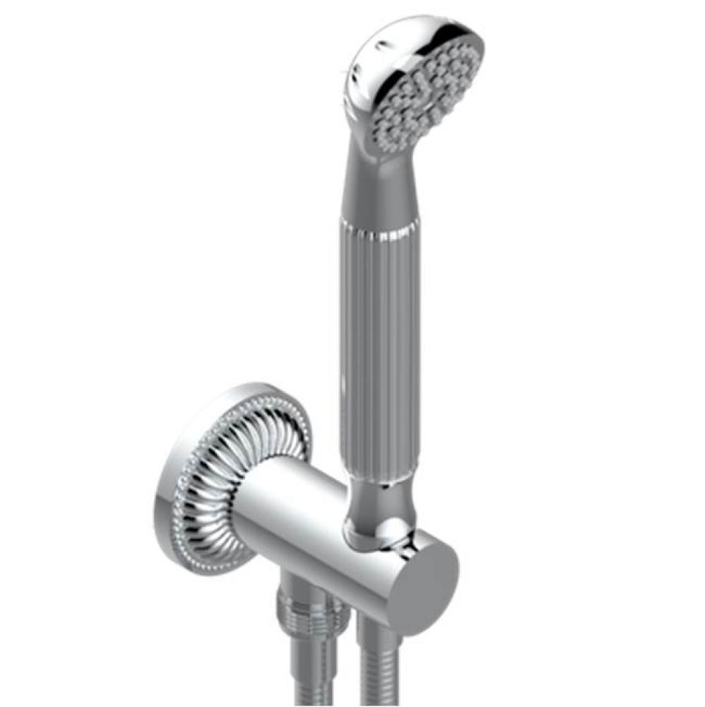 Wall Mounted Handshower With Integrated Fixed Hook