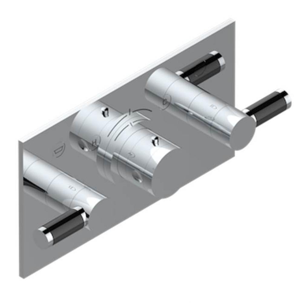 Trim For Thg Thermostat With 2 Valves Ref. 5 401ahm/us Rough Part Supplied With Fixing Box, Item T