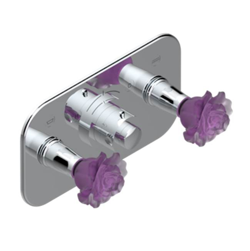 Trim For Thg Thermostat With 2 Valves Ref. 5 401ahm/us Rough Part Supplied With Fixing Box, Item T