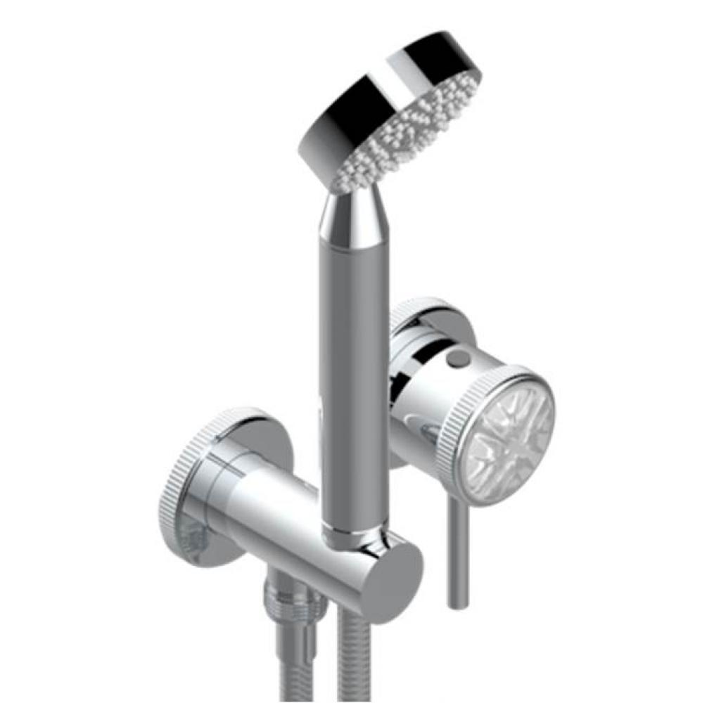 Trim Only For Wall Mixer With Complete Handshower On Hook