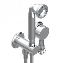 THG A56-6561B-F05 - Trim Only For Wall Mixer With Complete Handshower On Hook