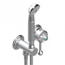 THG A8M-6561B-F05 - Trim Only For Wall Mixer With Complete Handshower On Hook