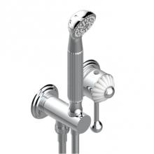 THG A9B-6561B-F05 - Trim Only For Wall Mixer With Complete Handshower On Hook