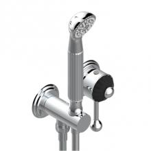 THG A9C-6561B-F05 - Trim Only For Wall Mixer With Complete Handshower On Hook