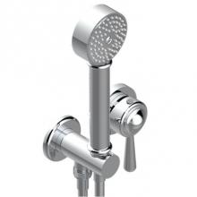 THG G7A-6561B-F05 - Trim Only For Wall Mixer With Complete Handshower On Hook