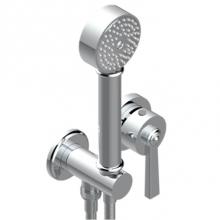 THG G7C-6561B-F05 - Trim Only For Wall Mixer With Complete Handshower On Hook