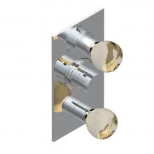 THG A46-5540BE-F05 - Trim for thg thermostat with 2-way diverter and on/off control, rough part supplied with fixing bo