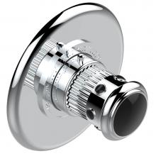 THG U7D-15EN16EM - U7D-15EN16EM - Trim Plate And Handle For Eurotherm Valve 8200/Us & 8300/Us