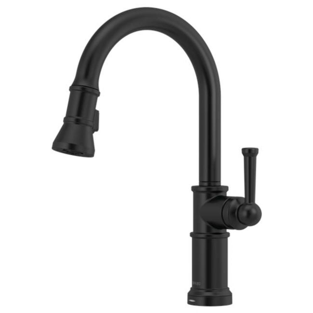 Artesso® Single Handle Pull-Down Kitchen Faucet