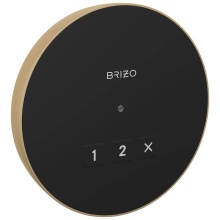 Brizo Canada 8CN-220R-GL-L - Other Round Exterior Control