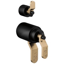 Brizo Canada HL7534-BLGL - Litze® Tempassure® Thermostatic Valve With Diverter Trim Handle Kit - Industrial Lever