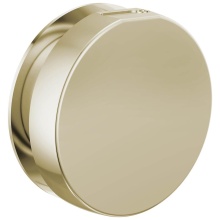 Brizo Canada RP103313PNL - Other Mystix™ Round Steam Head