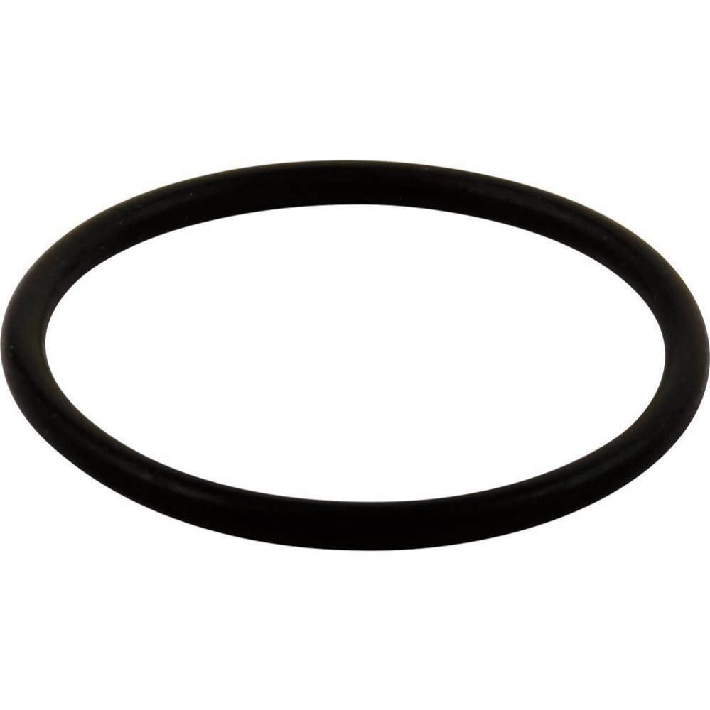 Other O-Ring - Large - All Monitor® Series