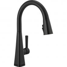 Delta Canada 19802TZ-BL-DST - Lenta™ Single-Handle Pull-Down Kitchen Faucet with Touch2O® Technology