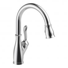 Delta Canada 9178-DST - Leland Pull Down Kitchen Faucet