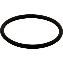 Delta Canada RP23336 - Other O-Ring - Large - All Monitor® Series
