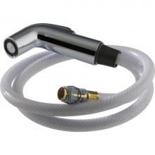 Delta Canada RP39345 - Other Side Spray & Hose Assembly