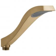 Delta Canada RP52589CZ - Dryden™ Hand Shower - Roman Tub