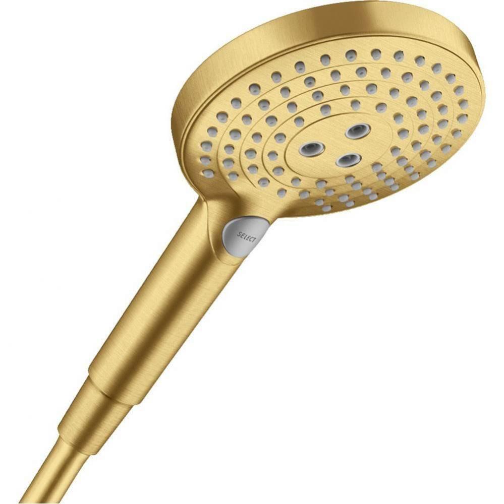 Raindance Select S 120 P Handshower, 2.5Gpm