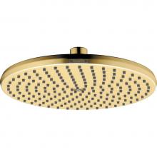 Hansgrohe Canada 04823250 - Showerhead 240 1-Jet, 2.5 Gpm