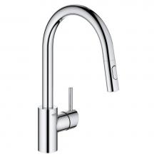 Grohe Canada 3134910E - Concetto Ohm Sink Eco Pull-Out Spray, Us