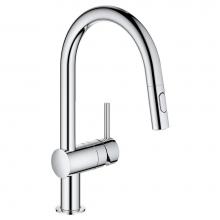 Grohe Canada 31378003 - Minta Ohm Sink Pull-Out Spray, Us