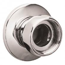 Grohe Canada 12417000 - Straight Inlet