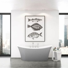 Maax Canada 106267-000-001-101 - Ariosa 6636 Acrylic Freestanding Center Drain Bathtub in White with Sterling Silver Skirt