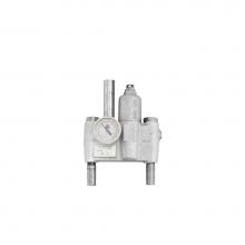 Bradley S19-2150CN - Thermostatic Valve Safety 19.5 GPM