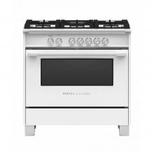 Fisher Paykel 81303 - Gas
