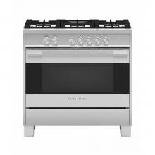 Fisher Paykel 81300 - Gas
