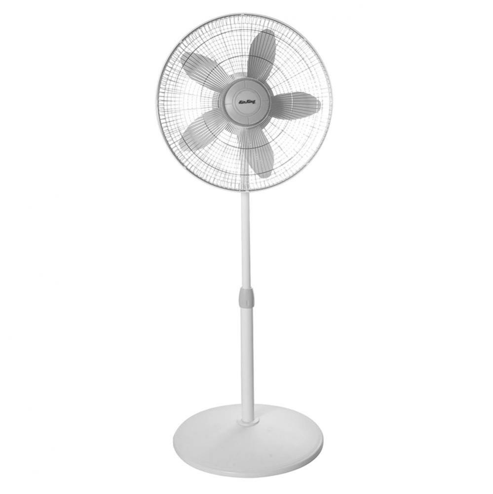 Oscillating Pedestal Fan